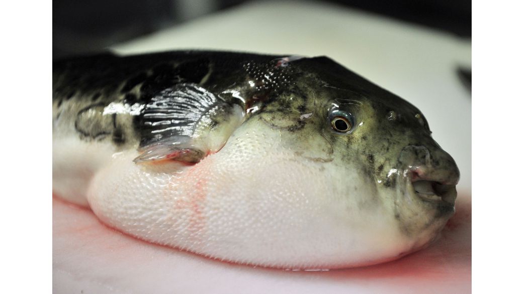 5 dangerous foods that could kill you instantly