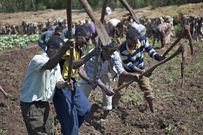 5 least paying jobs in Africa in 2025