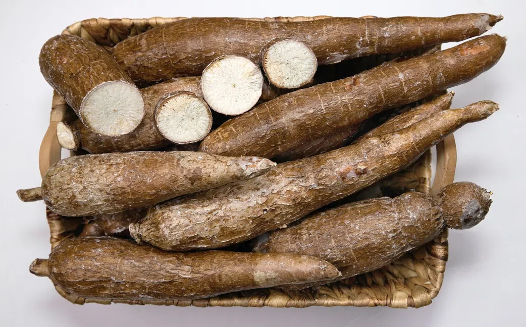 5 dangerous foods that could kill you instantly