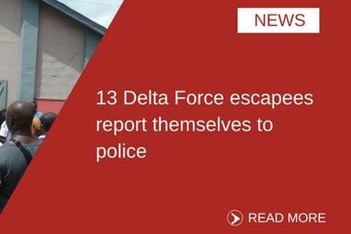 ___6494563___https:______static.pulse.com.gh___webservice___escenic___binary___6494563___2017___4___7___11___delta+art