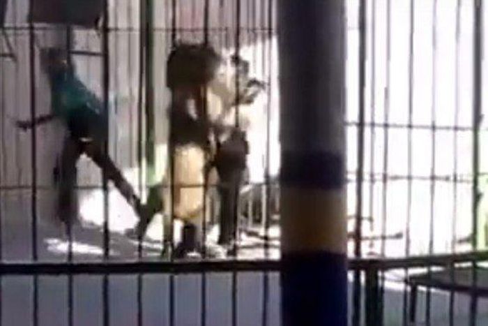 ___5855826___https:______static.pulse.com.gh___webservice___escenic___binary___5855826___2016___12___5___16___rndr_670x377