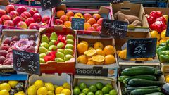 While there are several benefits to switching to a vegetarian diet there are some essential vitamins and minerals that could be left out or not consumed enough