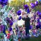 A fan visits a memorial outside Paisley Park, the home and studio of Prince, in April, 2016 in Chanhassen, Minnesota