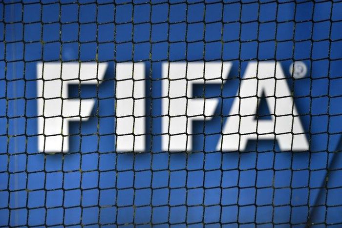 FIFA banned third party ownership where an individual investor or company owns a player's economic rights in 2015
