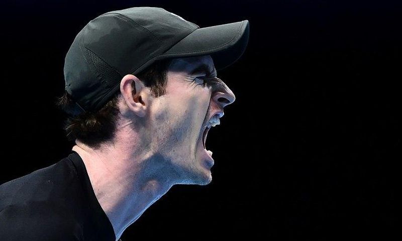Britain's Andy Murray replaced Novak Djokovic as world number one in late 2016