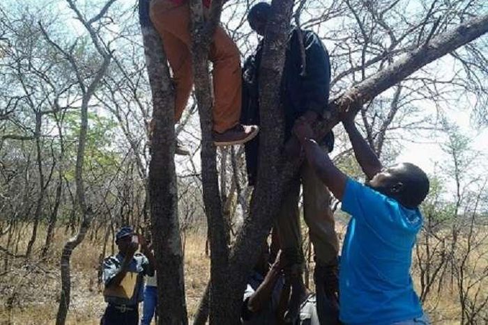 ___5642205___https:______static.pulse.com.gh___webservice___escenic___binary___5642205___2016___10___22___11___Dying-For-Love-Zimbabwe