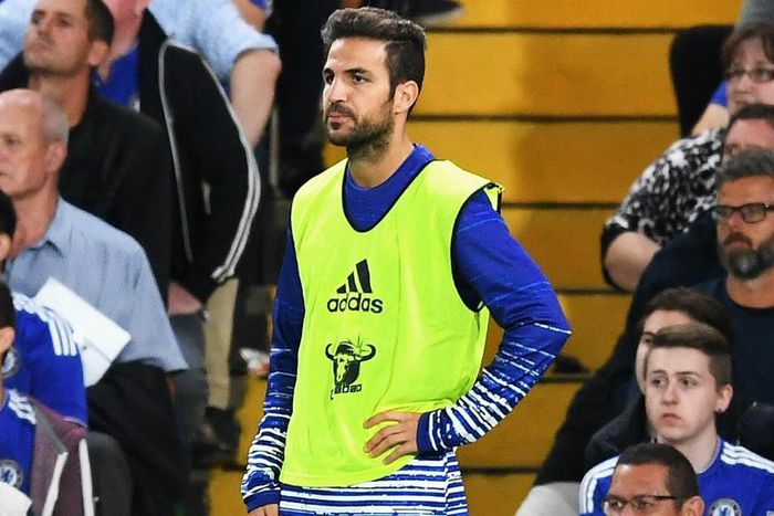 ___5429552___https:______static.pulse.com.gh___webservice___escenic___binary___5429552___2016___8___29___5___cescfabregas-cropped_fzg4wi56v6my110pqlcpkf189_2