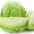 Cabbage
