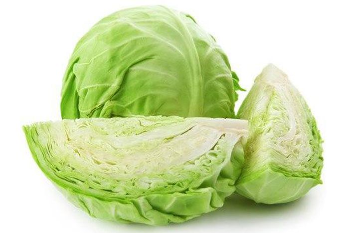 Cabbage