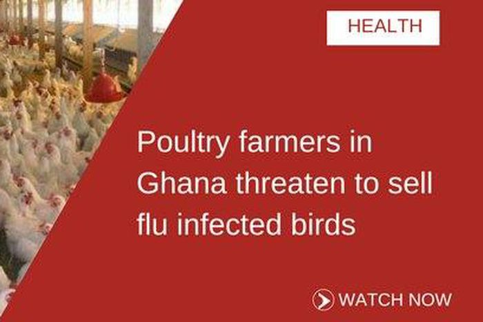 ___6686632___https:______static.pulse.com.gh___webservice___escenic___binary___6686632___2017___5___16___14___POULTRY