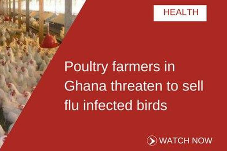 ___6686632___https:______static.pulse.com.gh___webservice___escenic___binary___6686632___2017___5___16___14___POULTRY