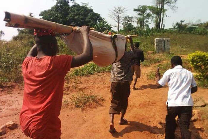 ___6136965___https:______static.pulse.com.gh___webservice___escenic___binary___6136965___2017___1___30___12___bamboo-sick