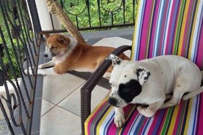 ___6787042___https:______static.pulse.com.gh___webservice___escenic___binary___6787042___2017___6___5___16___258955_1