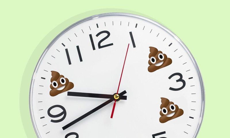 How often you should poop.
