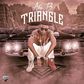 Ara-B - Triangle
