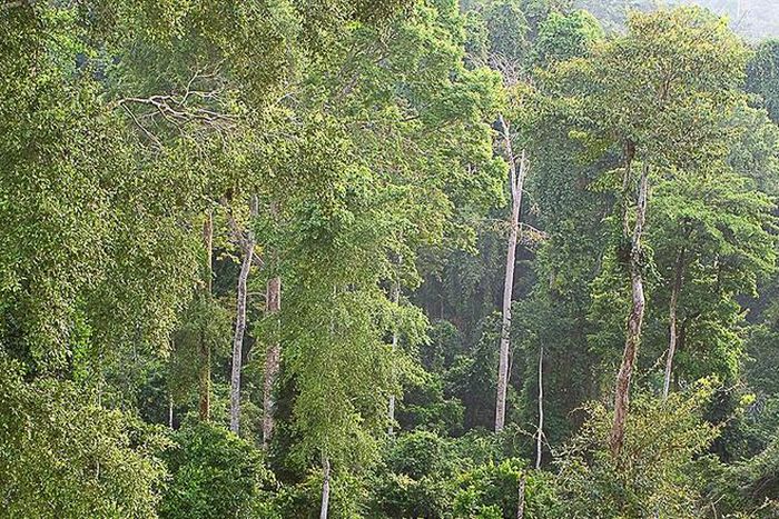 ___6707712___https:______static.pulse.com.gh___webservice___escenic___binary___6707712___2017___5___19___19___file6v02i12ysgpzfi1d1kk