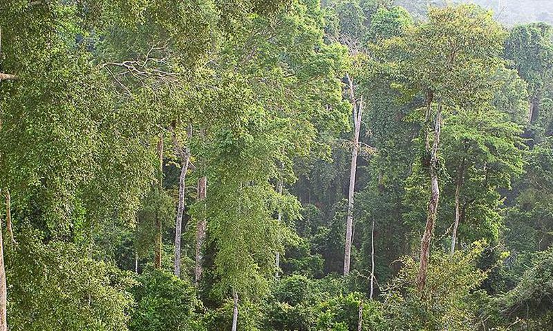 ___6707712___https:______static.pulse.com.gh___webservice___escenic___binary___6707712___2017___5___19___19___file6v02i12ysgpzfi1d1kk