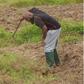 Trigmatic ventures into farming