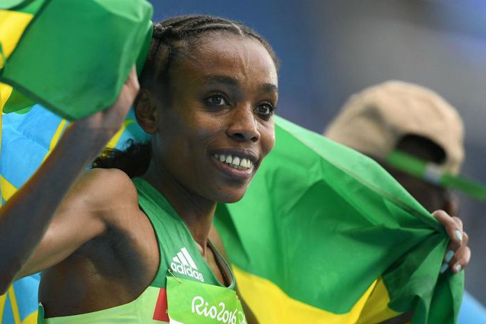 ___5373890___https:______static.pulse.com.gh___webservice___escenic___binary___5373890___2016___8___12___22___almazayana-cropped_11ldxqc9y3al91x2gw7mgaw198