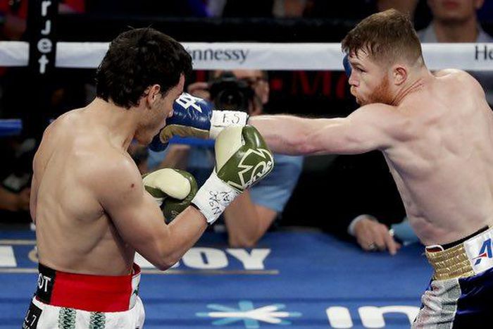 ___6637564___https:______static.pulse.com.gh___webservice___escenic___binary___6637564___2017___5___7___10___canelo