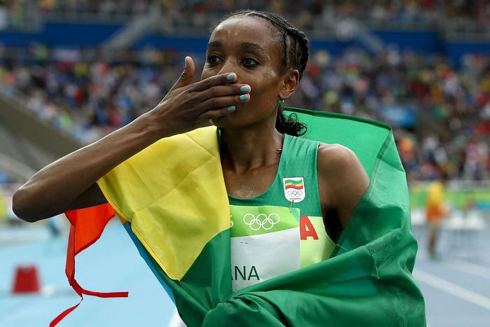 ___5373628___https:______static.pulse.com.gh___webservice___escenic___binary___5373628___2016___8___12___21___almazayana-cropped_zt6i36qg4tk315kle9fe3g1mh