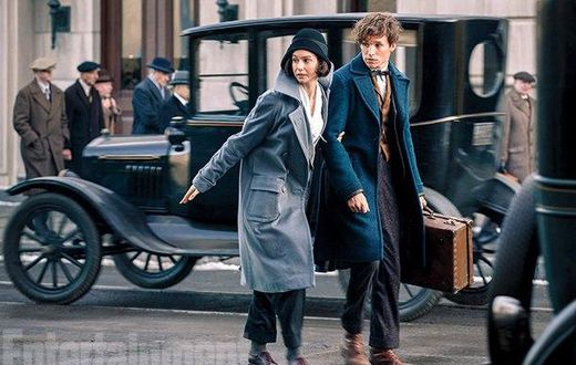 "Fantastic Beasts and Where to Find Them"