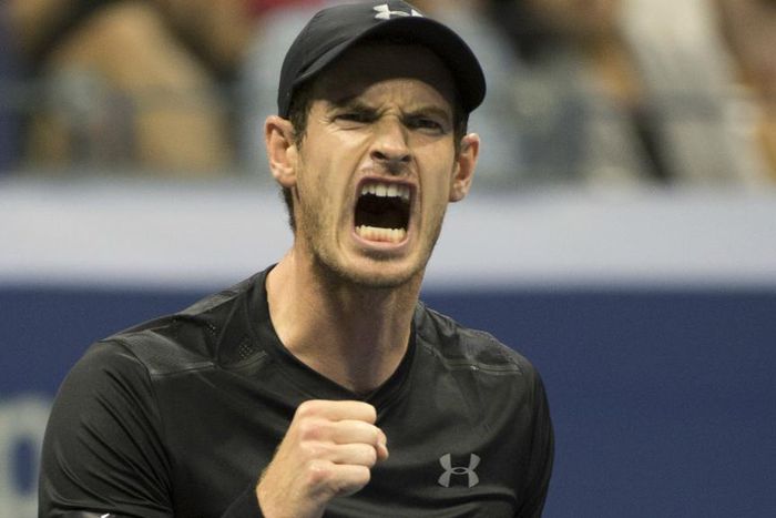 ___5438115___https:______static.pulse.com.gh___webservice___escenic___binary___5438115___2016___8___31___13___andymurray-cropped_llbm08cu9e6z133z8a7p39fqi