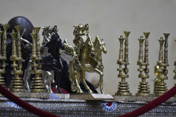 A trophy of the 25th Pan-African Film and Television Festival (FESPACO) is pictured at the Sports Palace in Ouagadougou on March 4, 2017