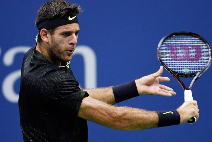 ___5468305___https:______static.pulse.com.gh___webservice___escenic___binary___5468305___2016___9___8___13___juanmartindelpotro-cropped_kfu54wpf8sm31xed7hf1h7fq9