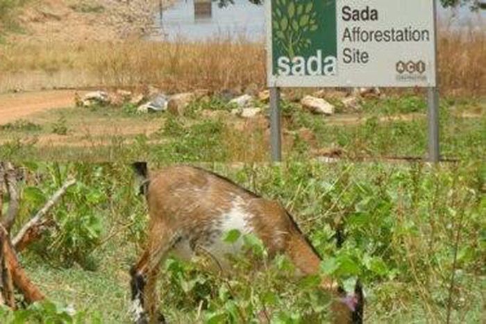 ___4999862___https:______static.pulse.com.gh___webservice___escenic___binary___4999862___2016___5___5___22___wpid-sada