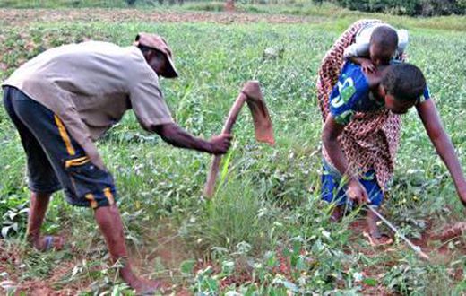 Farmers in Ghana