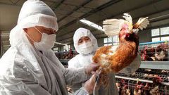 Bird Flu quarantine
