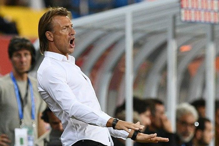 Morocco's French coach Herve Renard reacts during the 2017 Africa Cup of Nations quarter-final football match between Egypt and Morocco in Port-Gentil on January 29, 2017