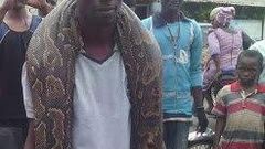 Man kills giant snake in Kwara state