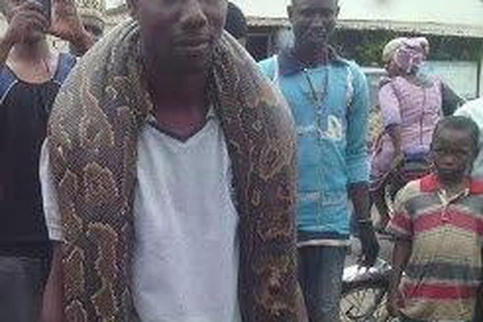 Man kills giant snake in Kwara state