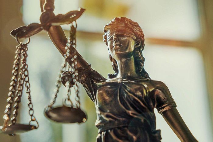 Career women love the most.