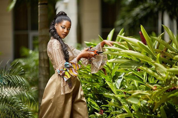 ___6793891___https:______static.pulse.com.gh___webservice___escenic___binary___6793891___2017___6___6___18___file6v99m2ww7k21nhqw19d8