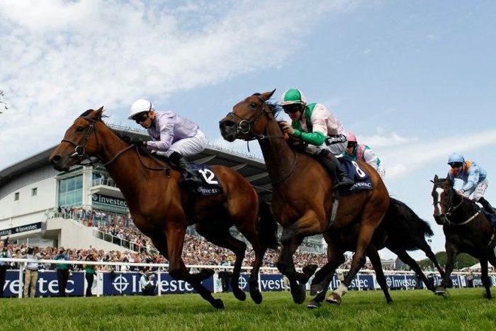 Champion jockey Jim Crowley (pictured (C) on Merry Me in 2015) was brought down along with German-born Freddy Tylicki and two other jockeys in a four-horse pile-up at Kempton Park in October 2016