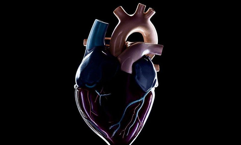 ___6533043___https:______static.pulse.com.gh___webservice___escenic___binary___6533043___2017___4___15___6___hearts-and-minds-1_0