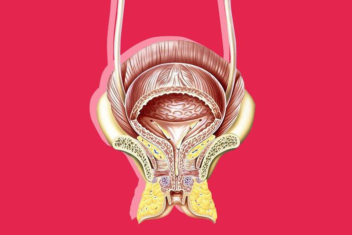 ___6279546___https:______static.pulse.com.gh___webservice___escenic___binary___6279546___2017___2___25___6___signs-of-bladder-cancer1