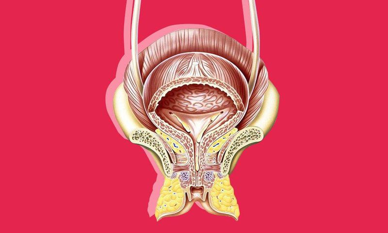 ___6279546___https:______static.pulse.com.gh___webservice___escenic___binary___6279546___2017___2___25___6___signs-of-bladder-cancer1