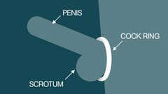 This sex toy helps you get harder, last longer, and have better orgasms