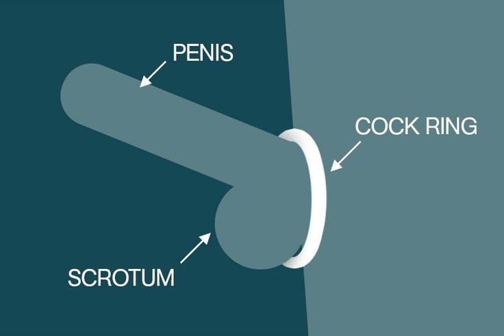 This sex toy helps you get harder, last longer, and have better orgasms