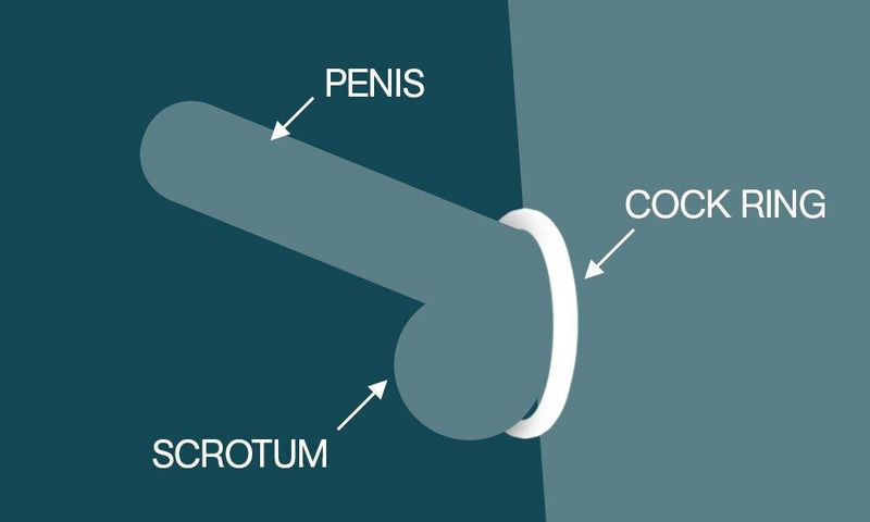 This sex toy helps you get harder, last longer, and have better orgasms