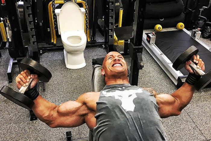 ___6011056___https:______static.pulse.com.gh___webservice___escenic___binary___6011056___2017___1___7___20___the_rock_toilet