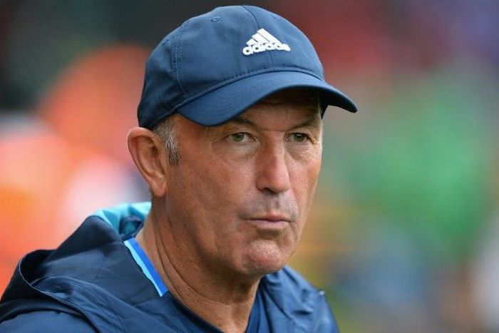 Tony Pulis took the helm at West Bromwich Albion in January 2015