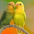 How happy couples tackle 3 of the most common relationship fights