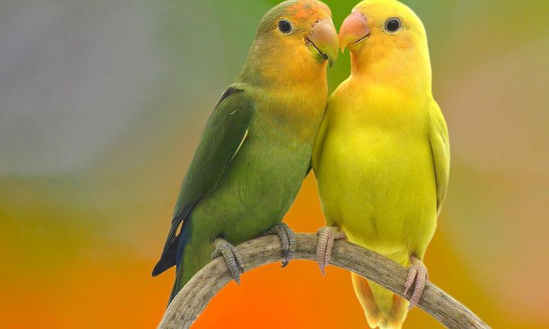 How happy couples tackle 3 of the most common relationship fights