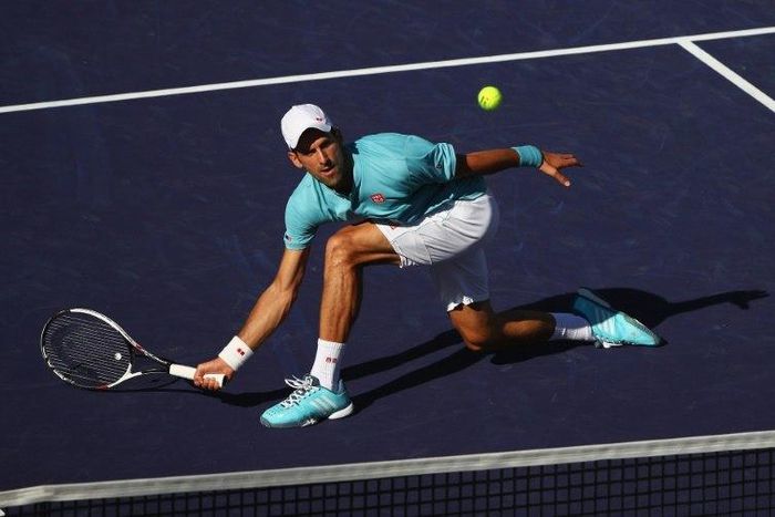 Novak Djokovic of Serbia, pictured in action on March 15, 2017, says he is injured and will not play at the Miami Open