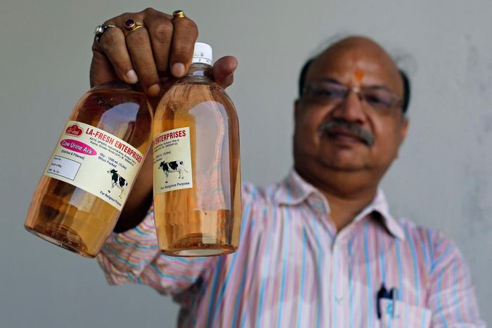 An Indian holding bottled Cow Urine